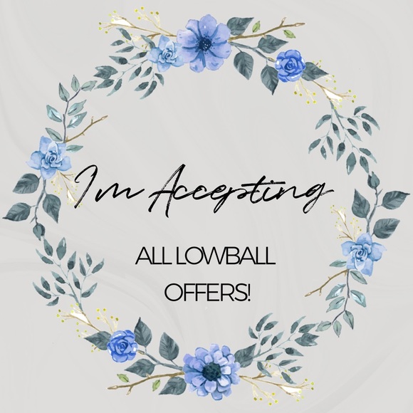 ACCEPTING LOWBALL OFFERS - Picture 1 of 1